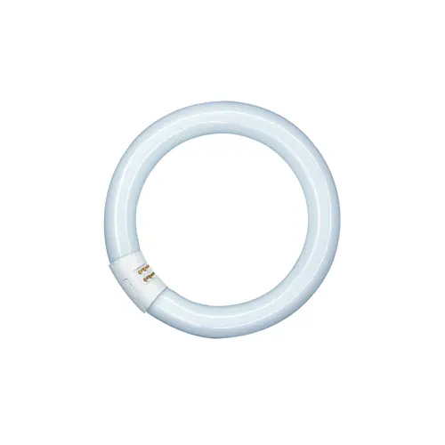 OSRAM fluorescent circular LUMILUX L22/865 C (21) G10q