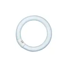 OSRAM fluorescent circular LUMILUX L32/865 C (21) G10q
