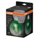 OSRAM LED filam.globe 1906 ET124 4.5W/20W E27 1600K 200lm Dim 15Y; green