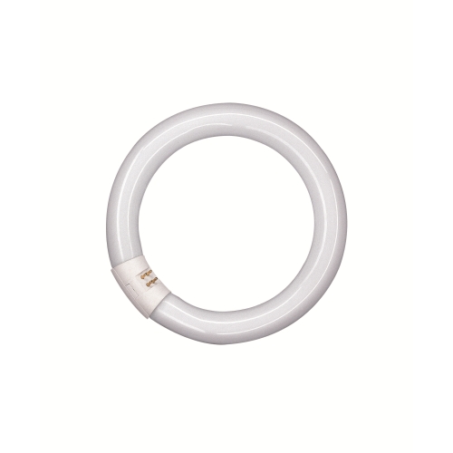 OSRAM luminous ring LUMILUX L22/840 C (21) G10q