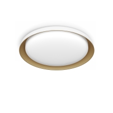 Pebblo UE Ceiling SS W 10W 40K