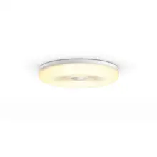 PHILIPS HUE-WA ceiling light LED Struana 27W 2400lm/WH IP44; white + switch 24V