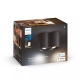 PHILIPS HUE-WA downlight LED Pillar 2x5W GU10 700lm/822-65/WA IP20; black