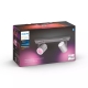 PHILIPS HUE-WA light fitting Argenta 2x5.7W GU10 700lm/820-65/WCA IP20; aluminum
