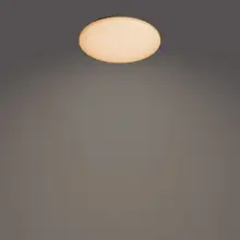 PHILIPS Izso CL620 AIO RD 40W 27-40-65K W RC