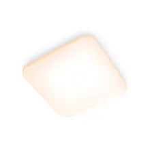 PHILIPS Mauve CL270 EC SQ 24W 27K W HV 06