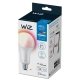 PHILIPS WiZ bulb A80 18.5W/150W E27 RGB 2452lm Dim