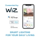 PHILIPS WiZ chandelier P45 4.9W/40W E27 RGB 470lm Dim