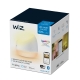 PHILIPS WiZ desk light LED Squire 9W 620lm/822-65/RGB IP20; white