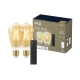 PHILIPS WiZ filam.bulb ST64 6.7W/60W E27 640lm TW Dim 2-pack+REM