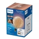 PHILIPS WiZ filam.globe G200 6W/25W E27 TW 390lm Dim