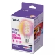 PHILIPS WiZ filam.globe G95 6.3W/40W E27 RGB 470lm Dim clear