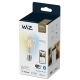 PHILIPS WiZ filament bulb ST64 7W/60W E27 TW 806lm Dim