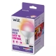 PHILIPS WiZ globe G95 11W/75W E27 TW 1055lm Dim