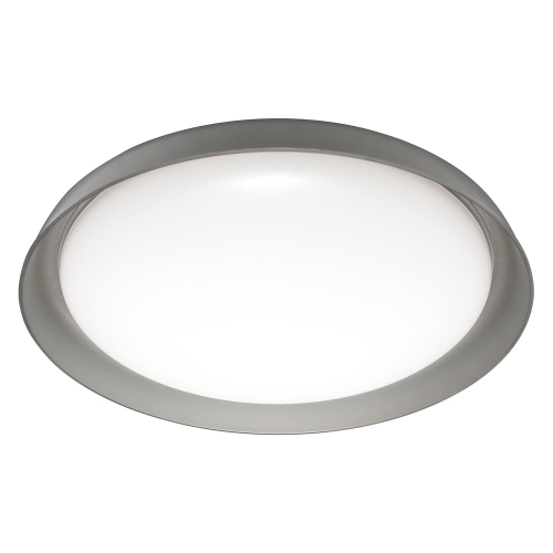 Plate Plate Grey 430mm TW