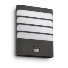 Raccoon IR wall lantern anthracite 1x3W