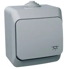 Schneider CEDAR PLUS print driver. r. 1/0 IP44 sym. light gray