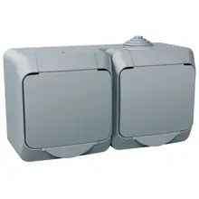 Schneider CEDAR PLUS socket. double 230V 16A 2P+PE IP44 gray