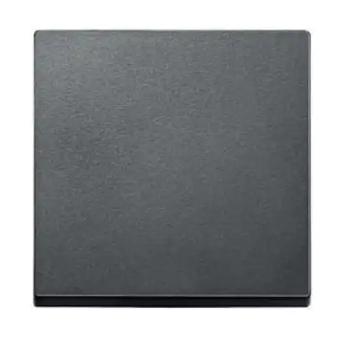 Schneider MERTEN Switch cover system M anthracite