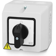 SEZ cam switch 0-1 small version S16 JPDM 1101 A6 0113176