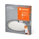 Sparkle Sparkle 560mm TW