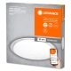 Sparkle Sparkle 560mm TW