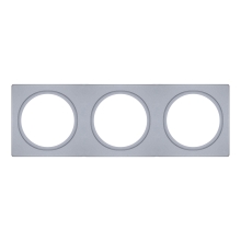 SPOT FRAME 100X300 3X D68 SI       LEDV