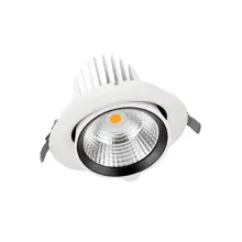 SPOT VARIO 170 35 W 3000 K 24DEG WT